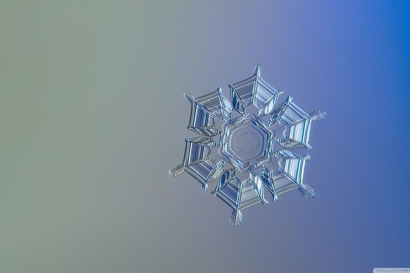 Snowflake Minimalism HD Wide Wallpaper for Widescreen