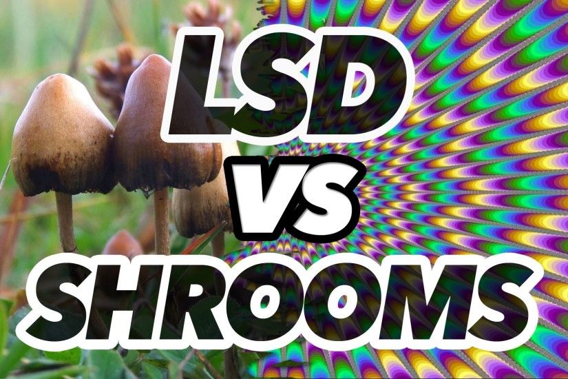 Acid – LSD vs. Shrooms: The Psychedelic Experience