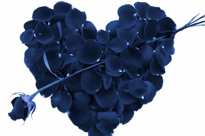Blue rose and a heart made of rose petals