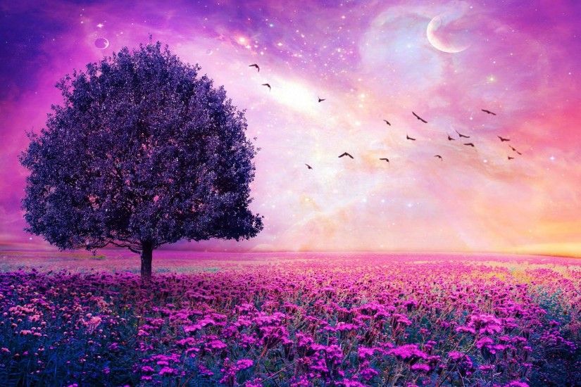 Wow Days Is A Row Just Little Talk 2560x1920 Normal Wallpapers Purple  Flowers