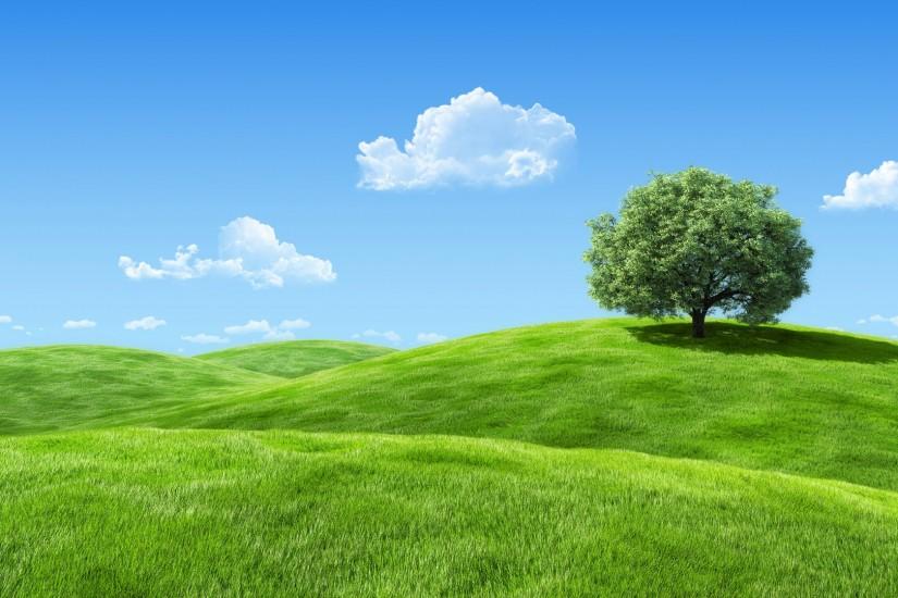 background, banner, beautiful, blue, clean, clear, cloud, country