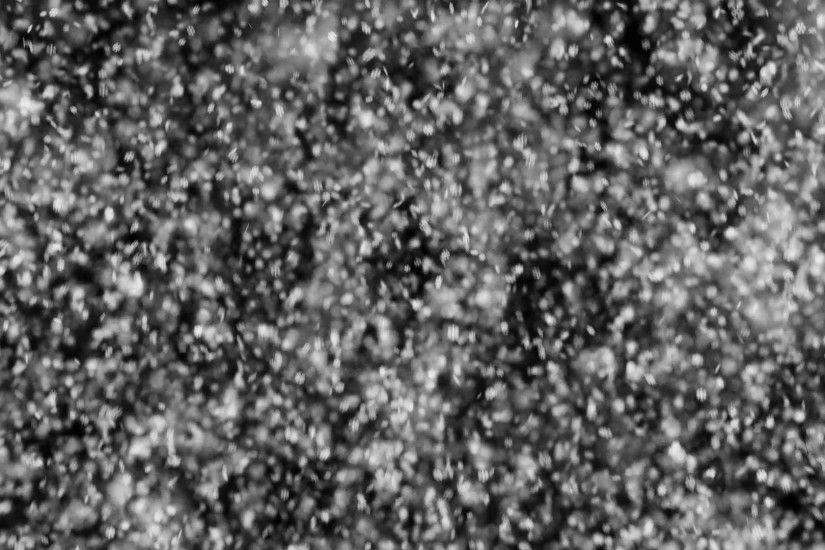 Abstract Winter Christmas Snowfall Background Motion Background -  VideoBlocks