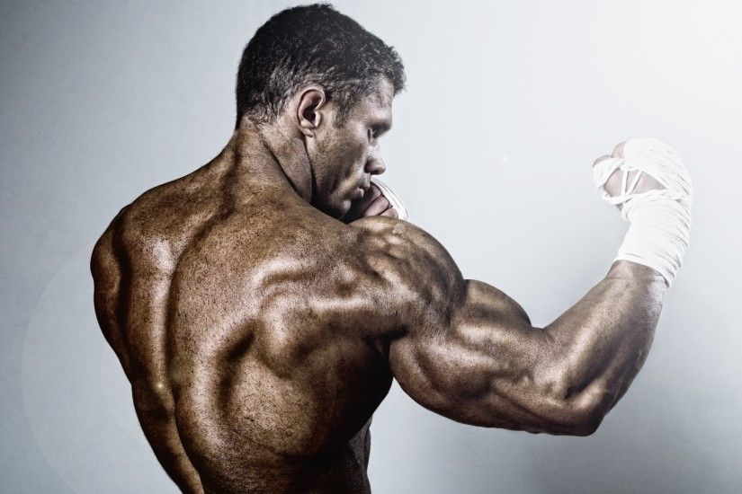 Boxing Back Muscles | 2880 x 1800 ...