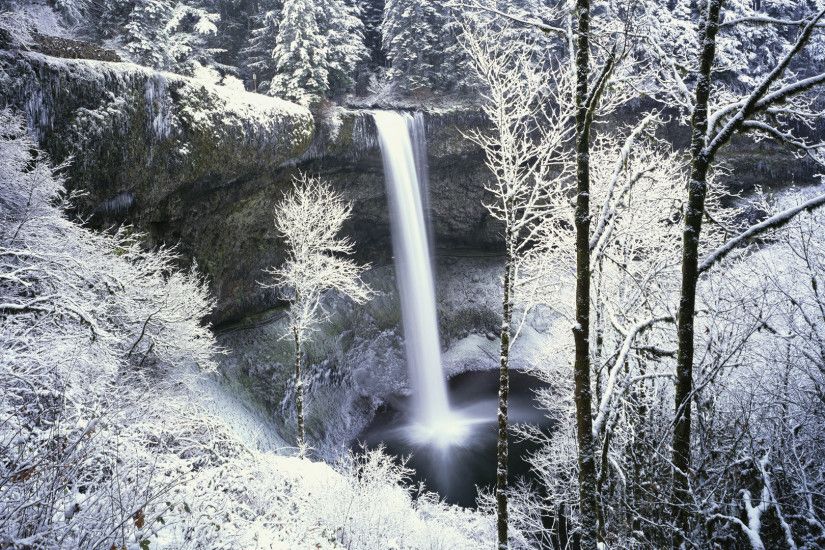 Snowy Scenes - HD Wallpapers