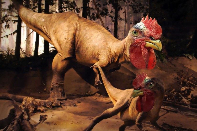 rooster rex dinosaur invented