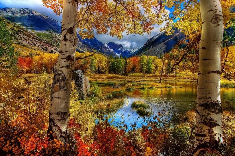 nature, Fall Wallpaper HD