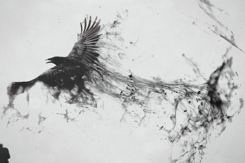 Flying Raven Artwork Wallpaper Wallpaper | WallpaperLepi