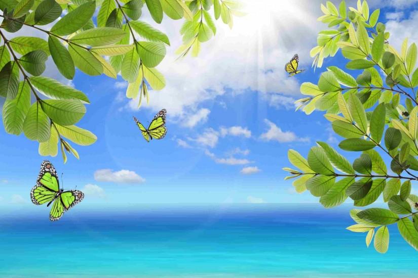 Fresh green leaves and butterfly on natural background