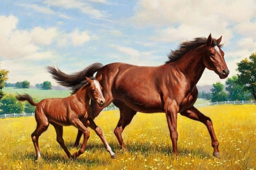 Preview wallpaper horse, stallion, grass, meadow, running 1920x1080