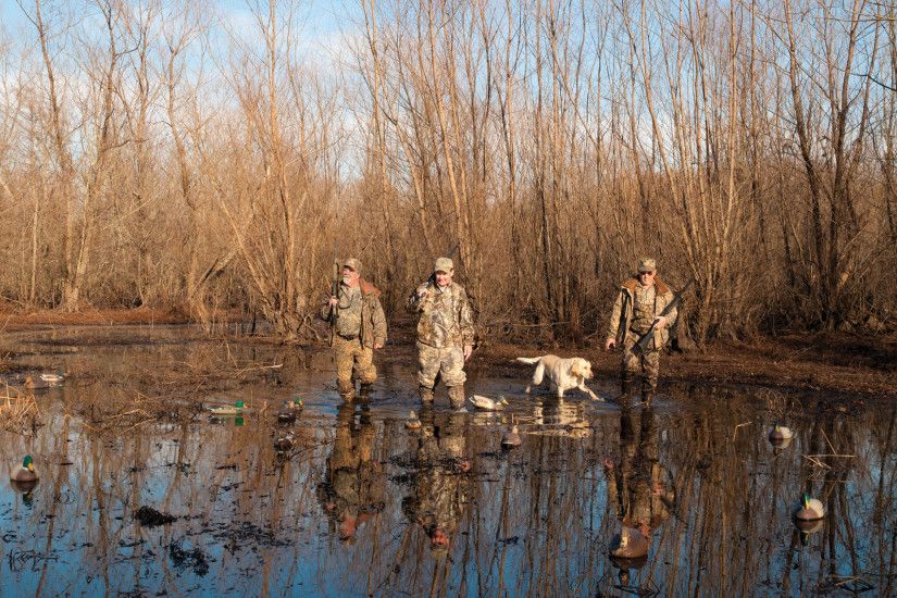 Situated on the Mississippi Flyway, Arkansas has some of the best duck  hunting in the