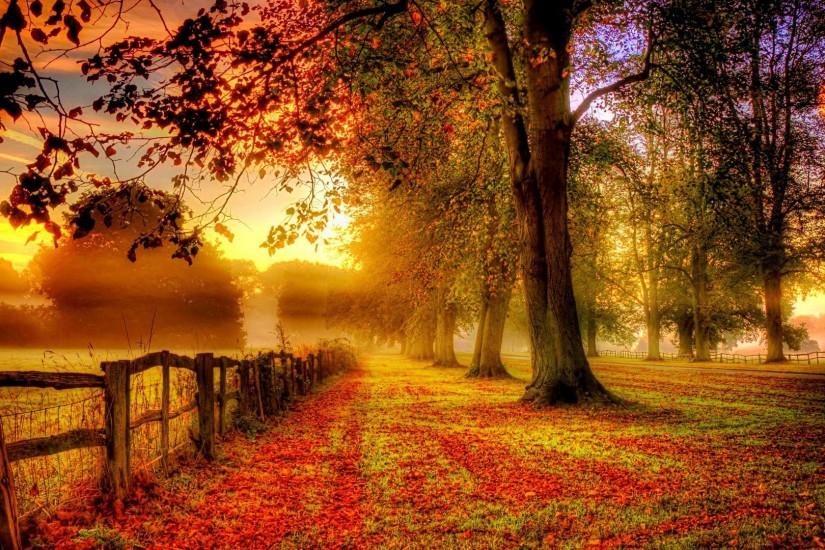 autumn scenery red leaves road fence Wallpaper, Desktop Wallpapers .