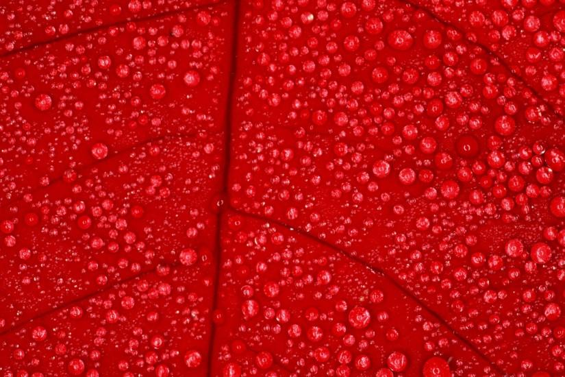 Red Texture Wallpaper Phone ...