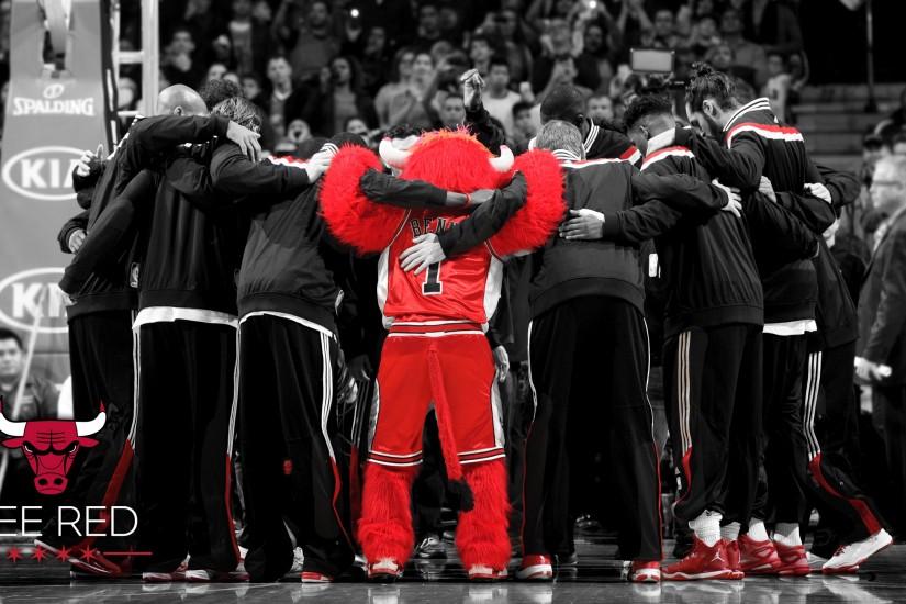 BULLS: Chicago Bulls Wallpaper & Screensaver