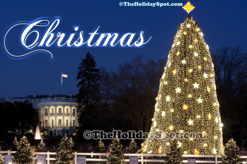 A high definition christmas wallpaper of Christmas celebration at White  House