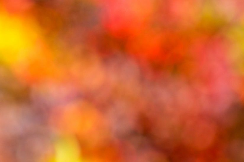 ... Autumn Colors Background ...