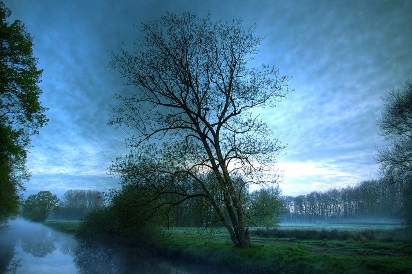 wallpaper.wiki-Beautiful-Nature-HD-background-trees-PIC-