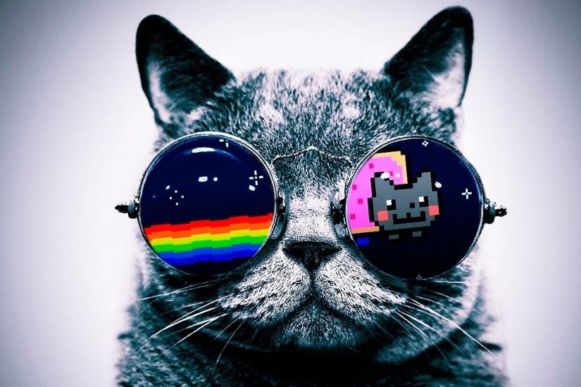 Nyan Cat Cats Glasses Wallpaper
