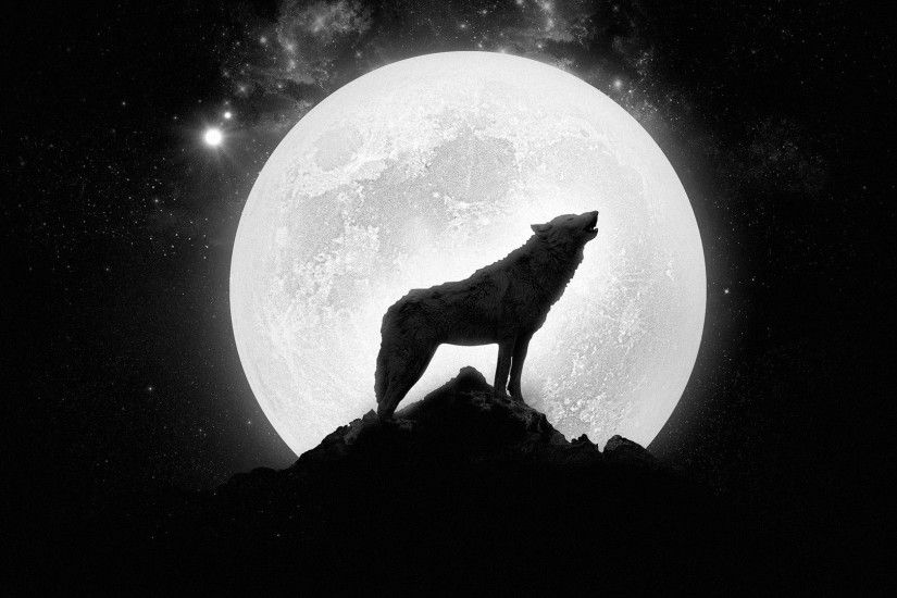 Howling Wolf Wallpaper Hd Resolution