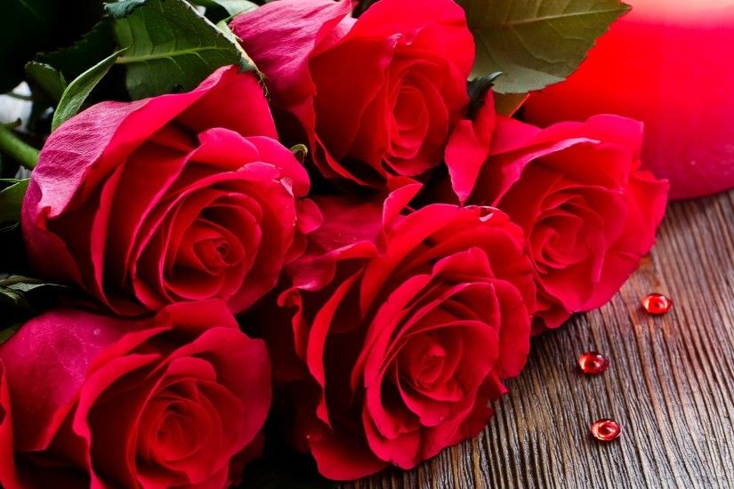 Roses flower Roses photos roses wallpaper for your desktop Red