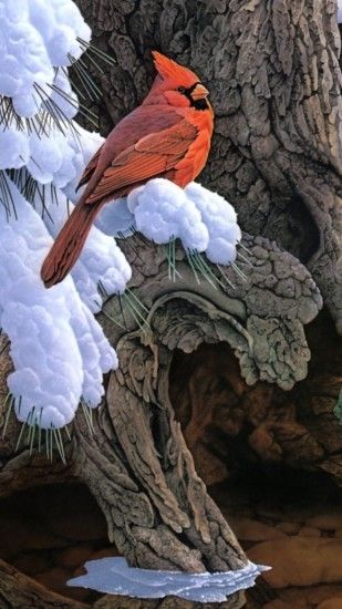 1080x1920 Wallpaper painting, snow, winter, tree, bird, cardinal