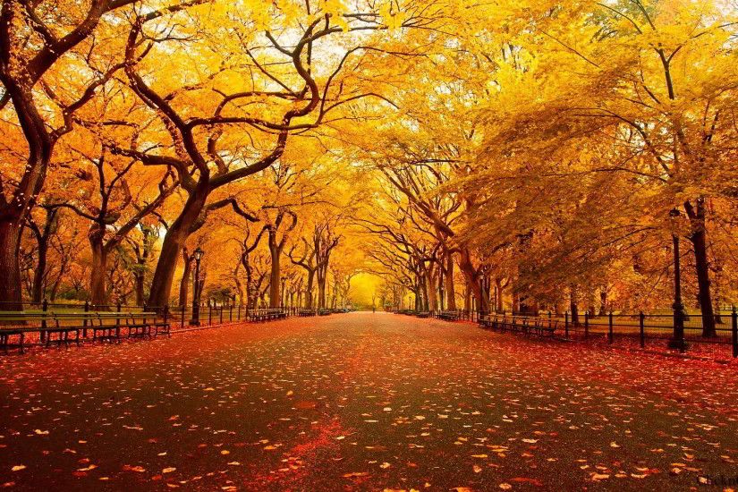 Autumn Nature Wallpapers HD Pictures – One HD Wallpaper Pictures .