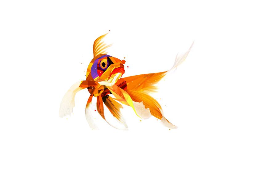 Goldfish White Fish HD wallpaper thumb