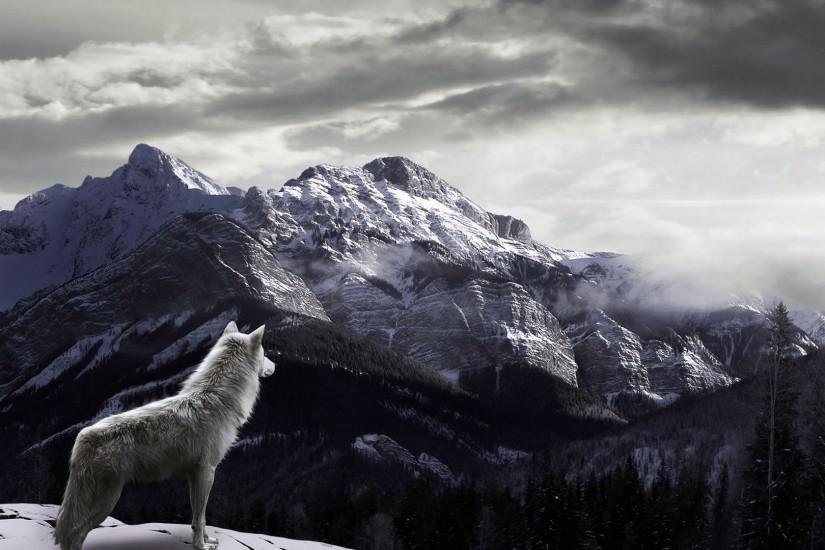 White Wolf Wallpapers Mobile All Wallpaper Desktop 1920x1080 px 269.87 KB  animal Art Hd Android Tumblr