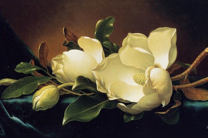 Magnolia wallpaper blooms fragrant chinese still life full hd macro high  resolution Wallpaper
