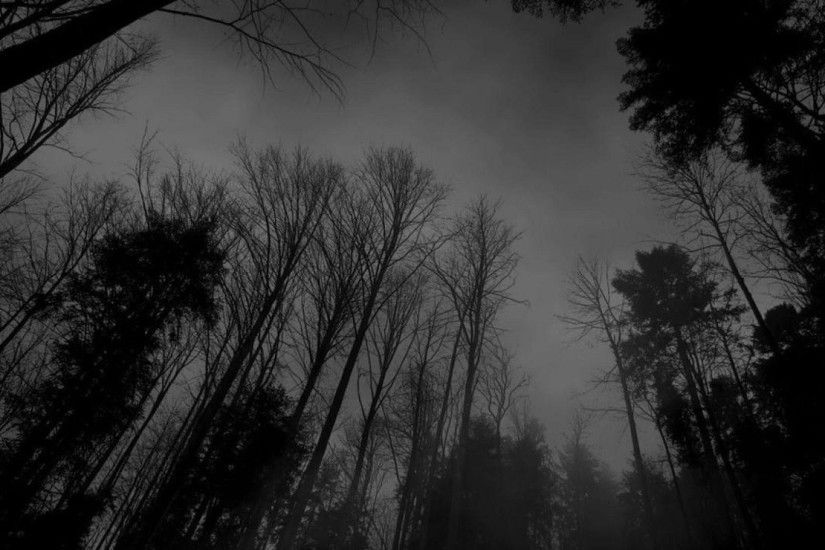 Image - Forest-black-white-dark-forest-wallpaper.jpg –