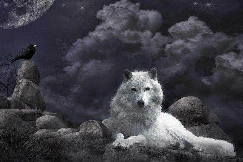 White Wolf wallpaper desktop background