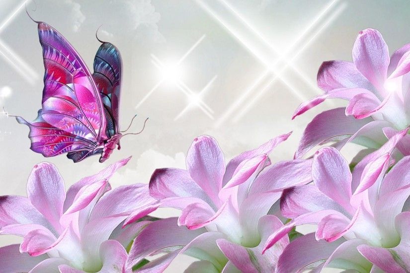 Pink Butterfly Backgrounds | Butterfly Wallpaper | Butterfly .