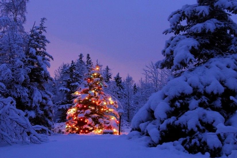 Wallpapers For > Christmas Scenery Backgrounds