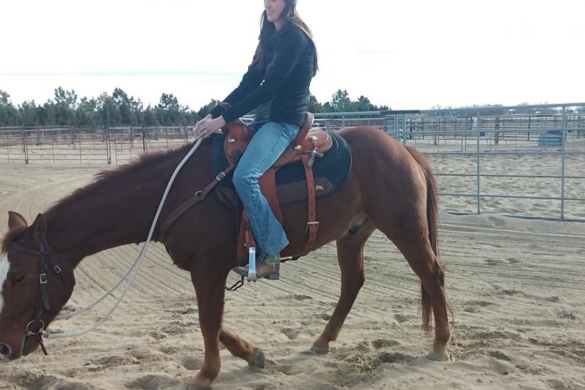 How to improve your barrel horse's stride and time! part 2 – exercises