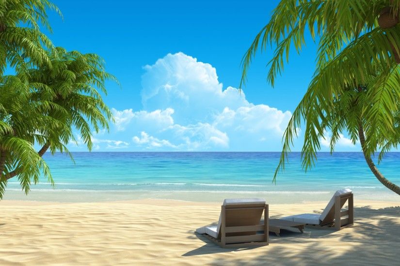 Beach Chair Palm Tree