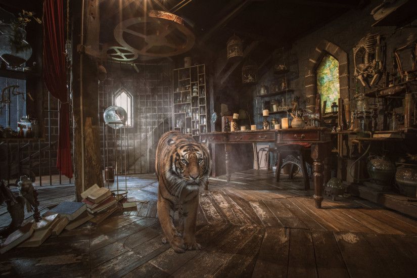 Medieval Tiger by Karen Alsop