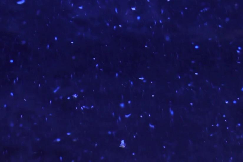 Abstract slow motion relaxing background. Chaotic movement of illuminated  particles in the dark blue water Stock Video Footage - VideoBlocks
