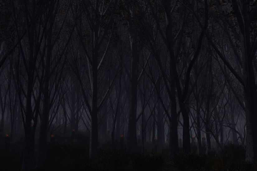 3840x2160 Wallpaper forest, trees, background, dark