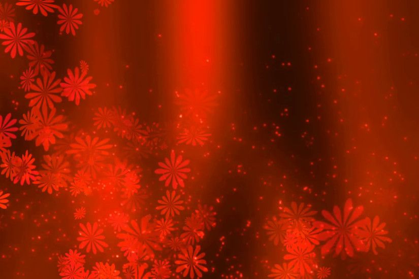 Red Love abstract flower Background 01 Stock Video Footage - VideoBlocks