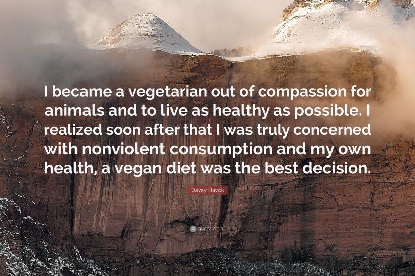 Davey Havok Quote: “I became a vegetarian out of compassion for animals and  to