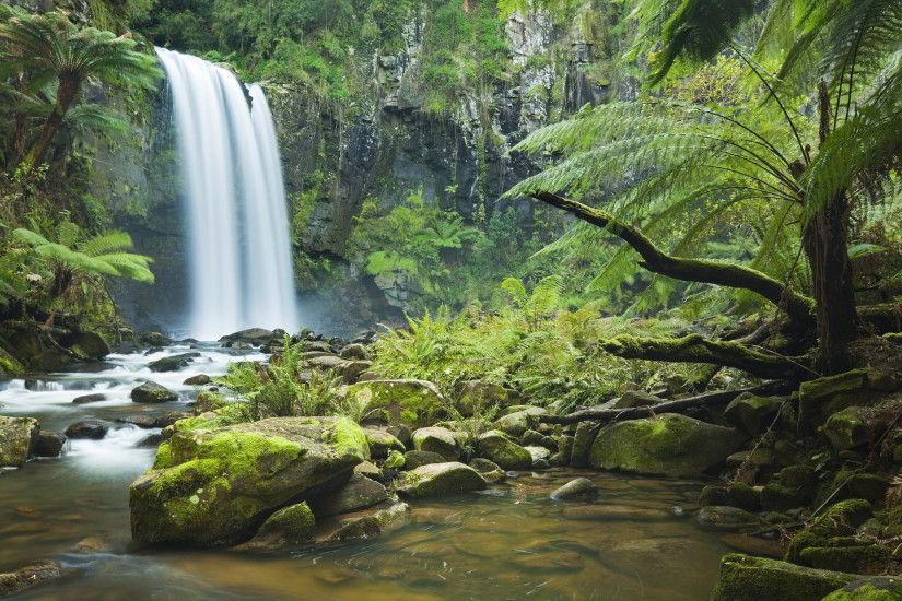 Find out: Tropical Waterfall Background wallpaper on http://hdpicorner.com/