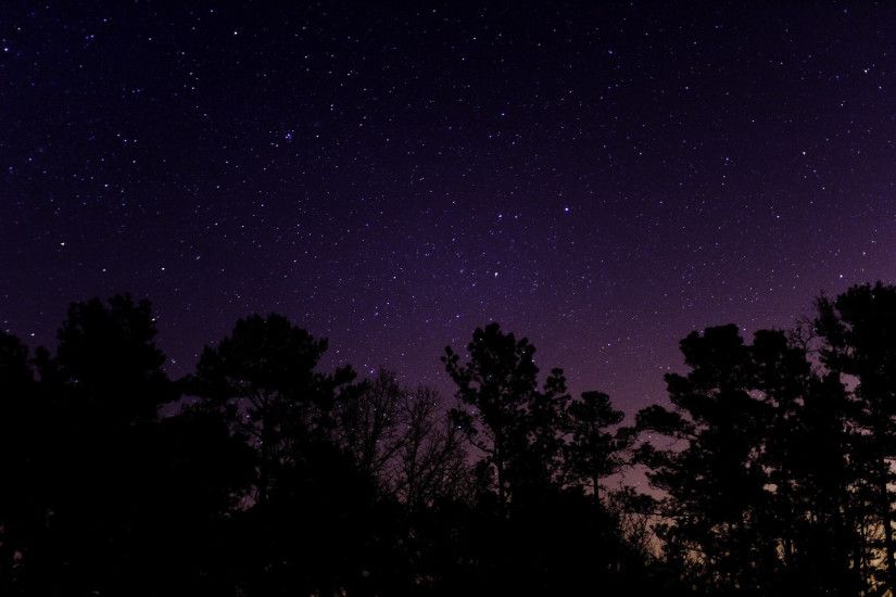 Trees Under The Starry Sky HD Sublime Wallpaper