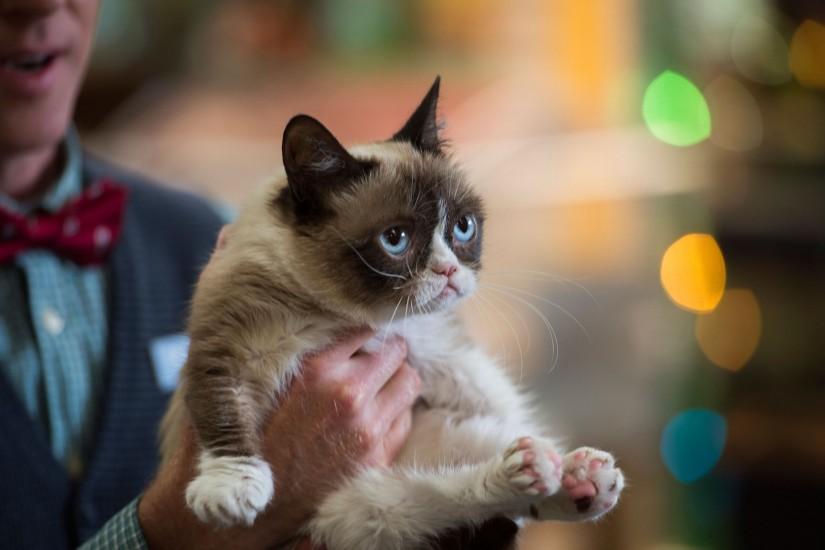 Download Grumpy Cats Worst Christmas Ever Tmue .