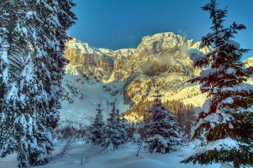 1920x1080 Wallpaper winter, mountains, austria, snow, trees, spruce, alps,