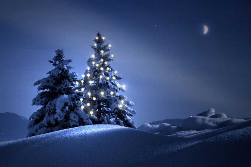Beautiful Outdoor Christmas Trees at Night 1920x1080 wallpaper