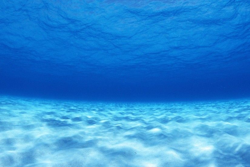 Wallpapers For > Underwater Background Hd