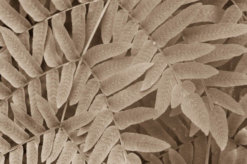 Sepia Leaves Pattern ...