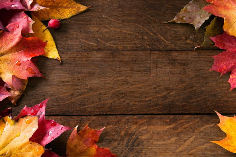 Free Fall HD Background Latest Fall Background Free Download