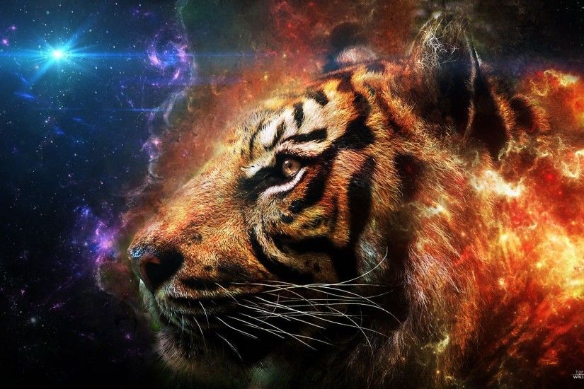 Tiger Image
