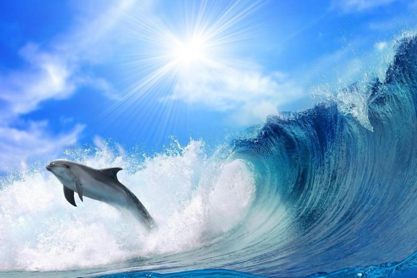 Preview wallpaper dolphin, sunshine, shine, jump, sea 1920x1080