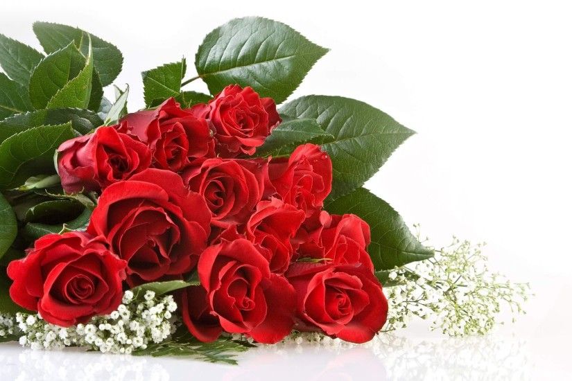 Photo Beautiful Rose Flowers Wallpapers Desktop